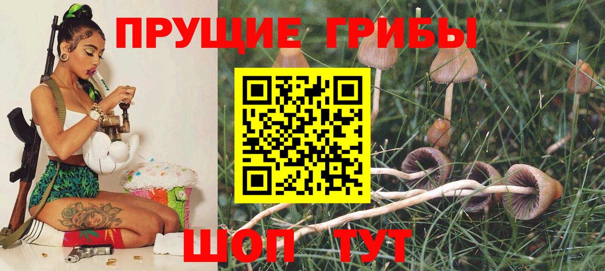 Псилоцибиновые грибы ЛСД  хочу   Москва  Вход с VPN 